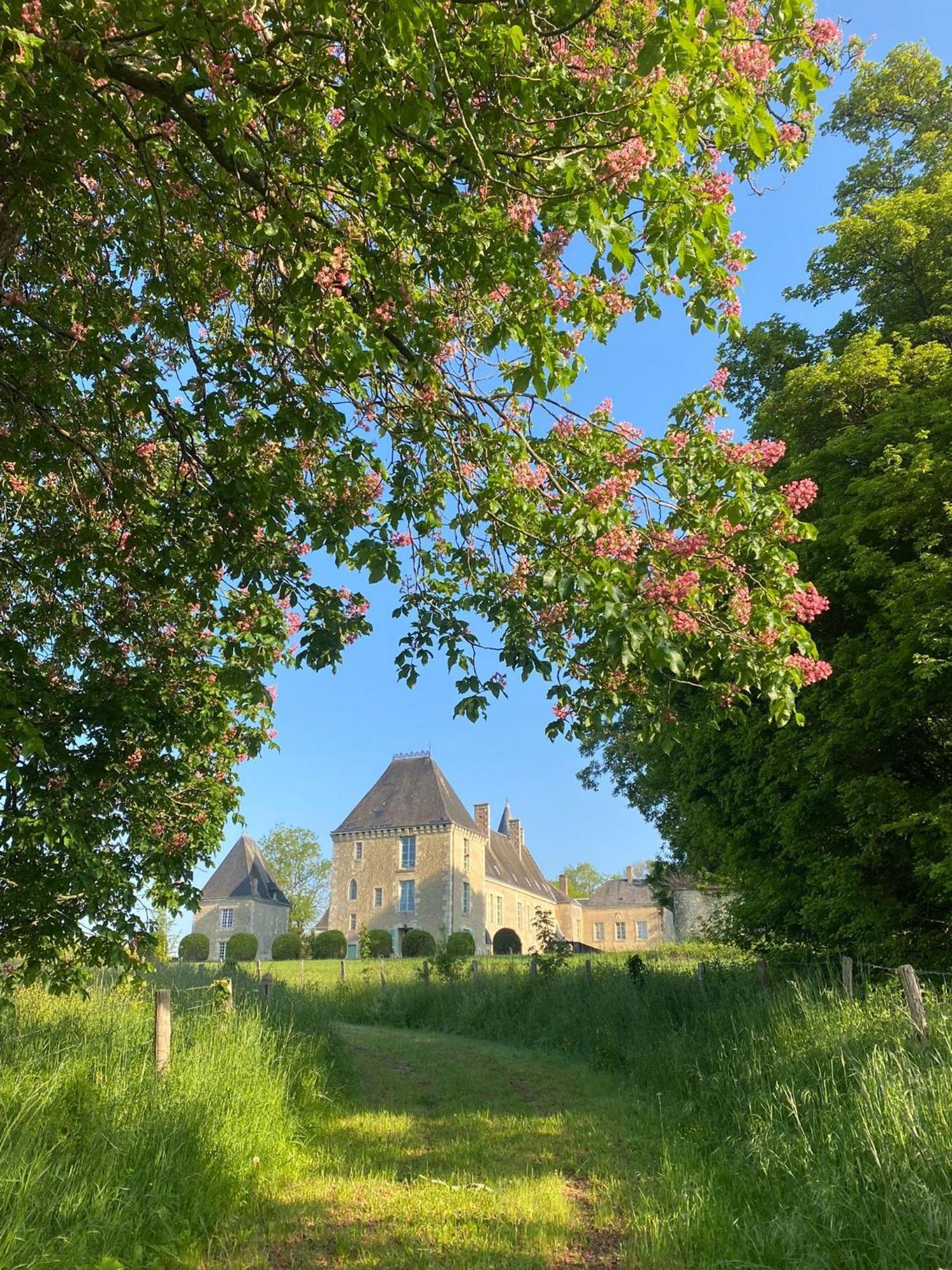 Chateau Des Feugerets เบลแลม ภายนอก รูปภาพ